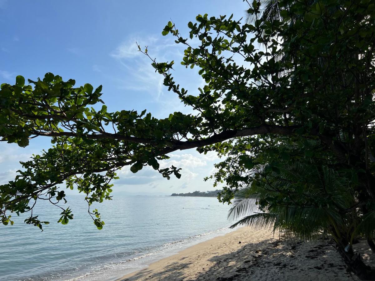 Wish Bungalow Hotell Ko Samui Eksteriør bilde