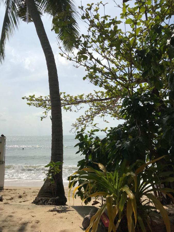 Wish Bungalow Ko Samui Eksteriør bilde